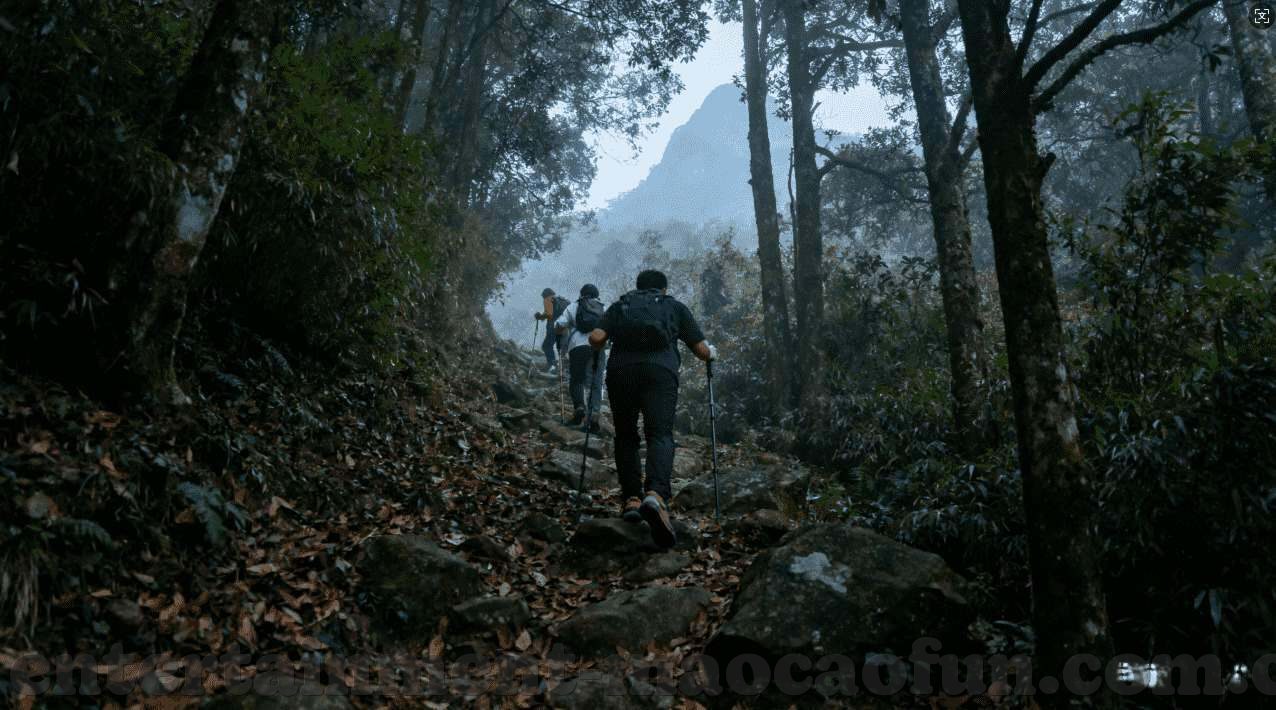 德州扑克网络组局-德州扑克网络组局，策略、社交与娱乐的完美结合
